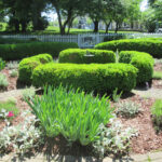 Herb Wheel Garden