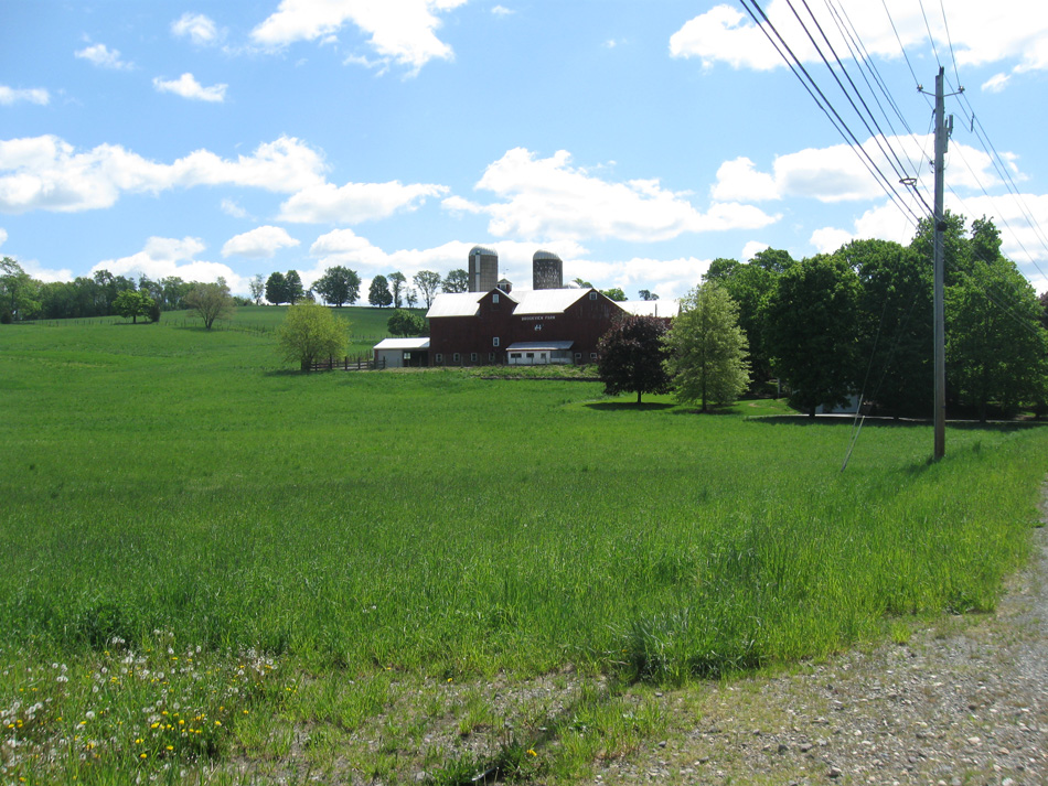 Brookview Farm