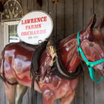 Lawrence Farms