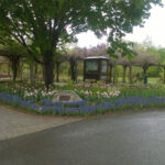 Orange County Arboretum